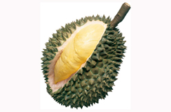 Durian